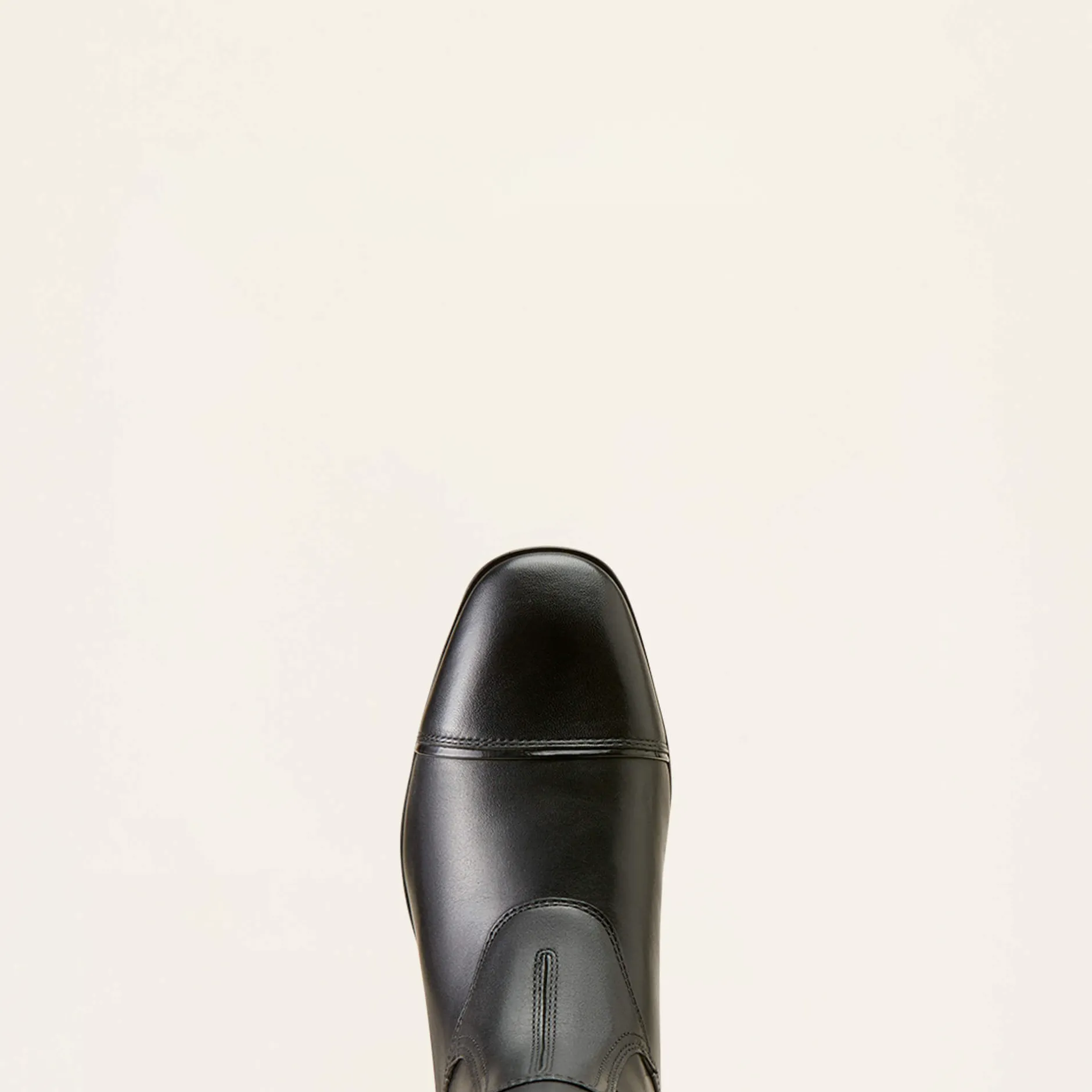 Ariat Reiten*Palisade Show Tall Riding Boot