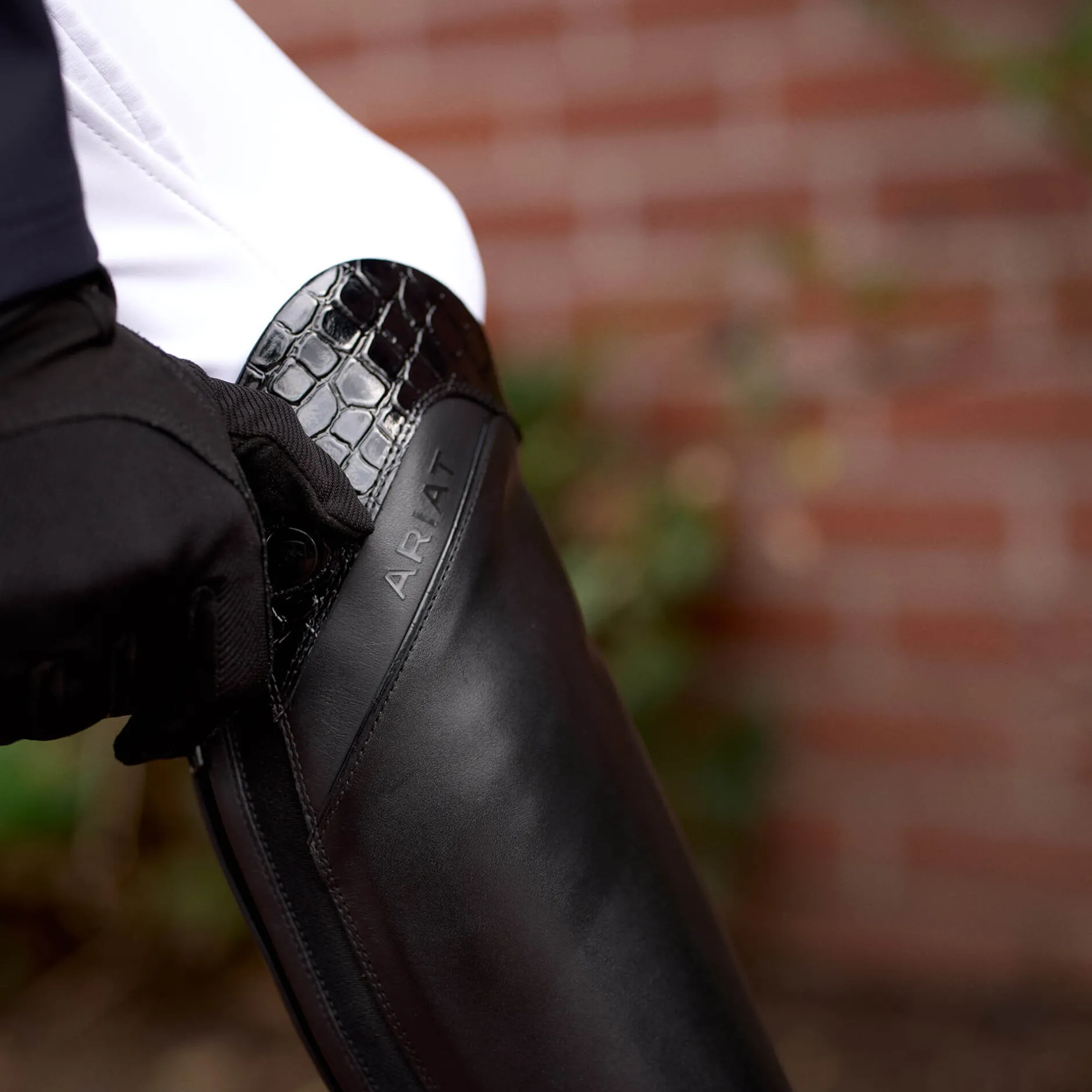 Ariat Reiten*Palisade Show Tall Riding Boot