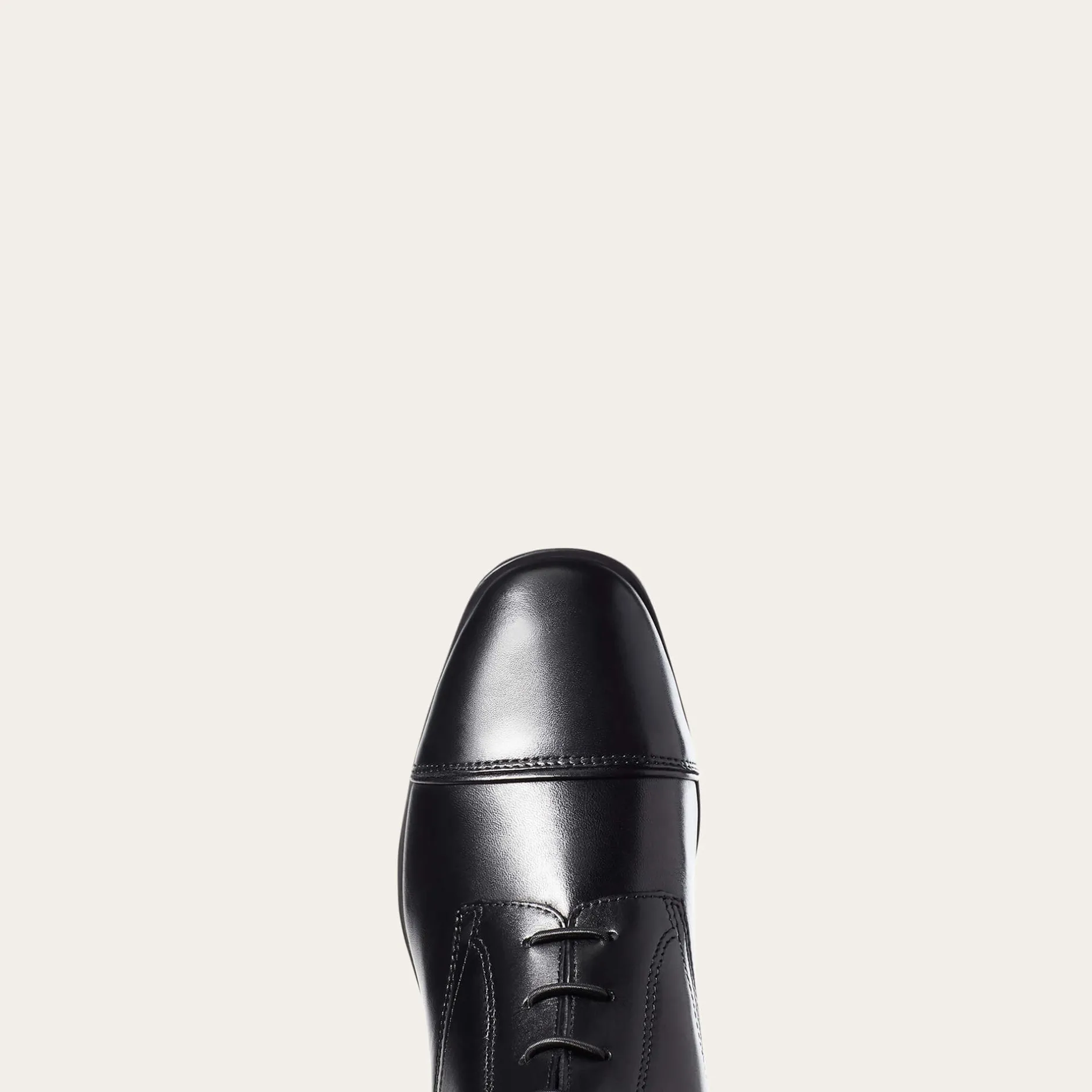 Ariat Reiten*Palisade Tall Riding Boot BLACK
