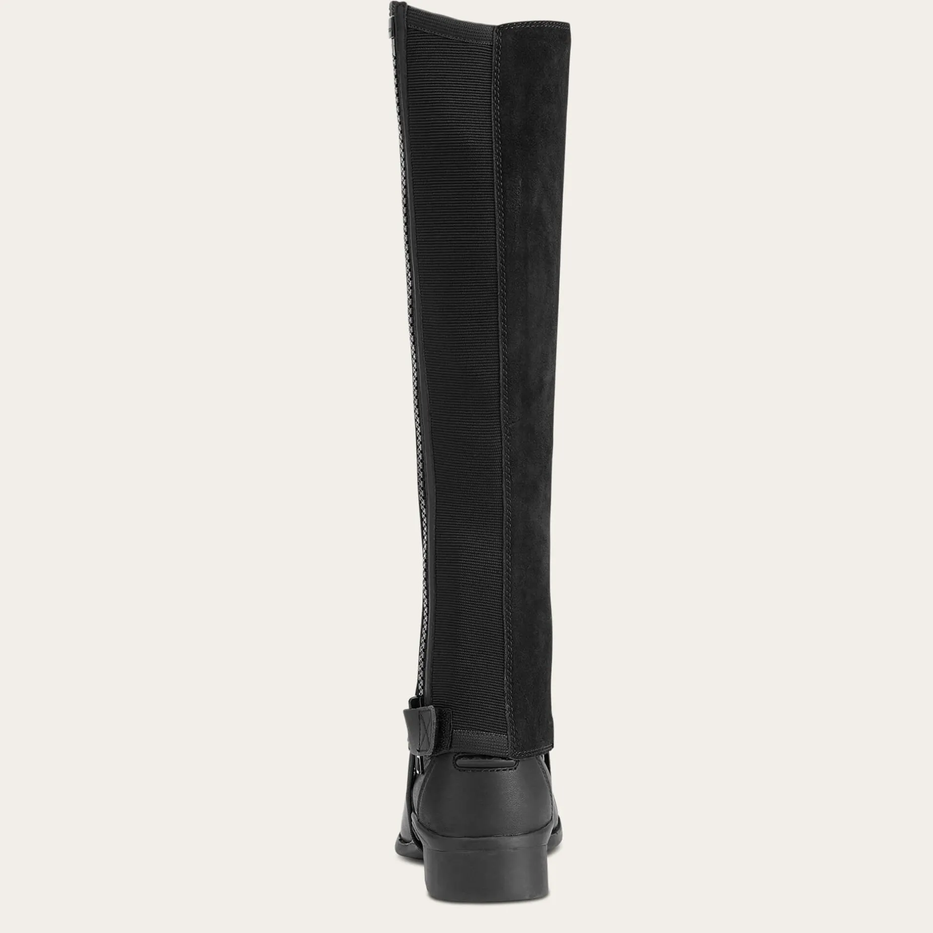 Ariat Reiten|Reiten*Scout Chap BLACK