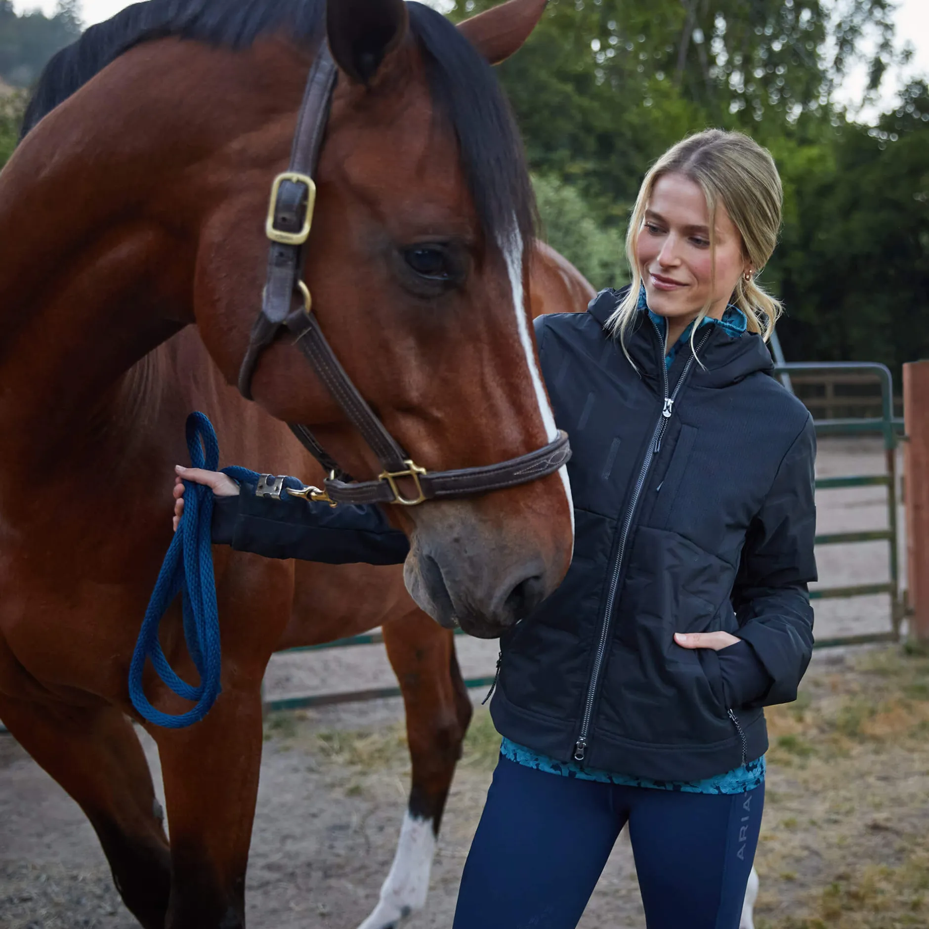 Ariat Oberbekleidung*Taxore Insulated Jacket BLACK